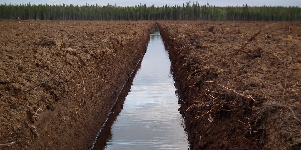The logistics and transportation of peat moss made efficient - The  Greencarrier blog