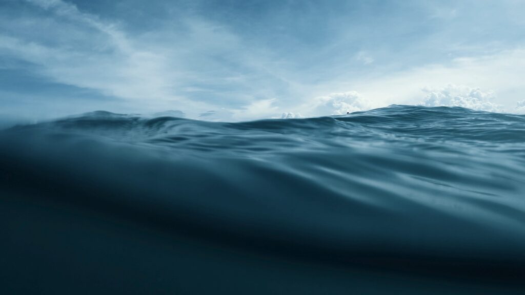 fossil-free sea freight