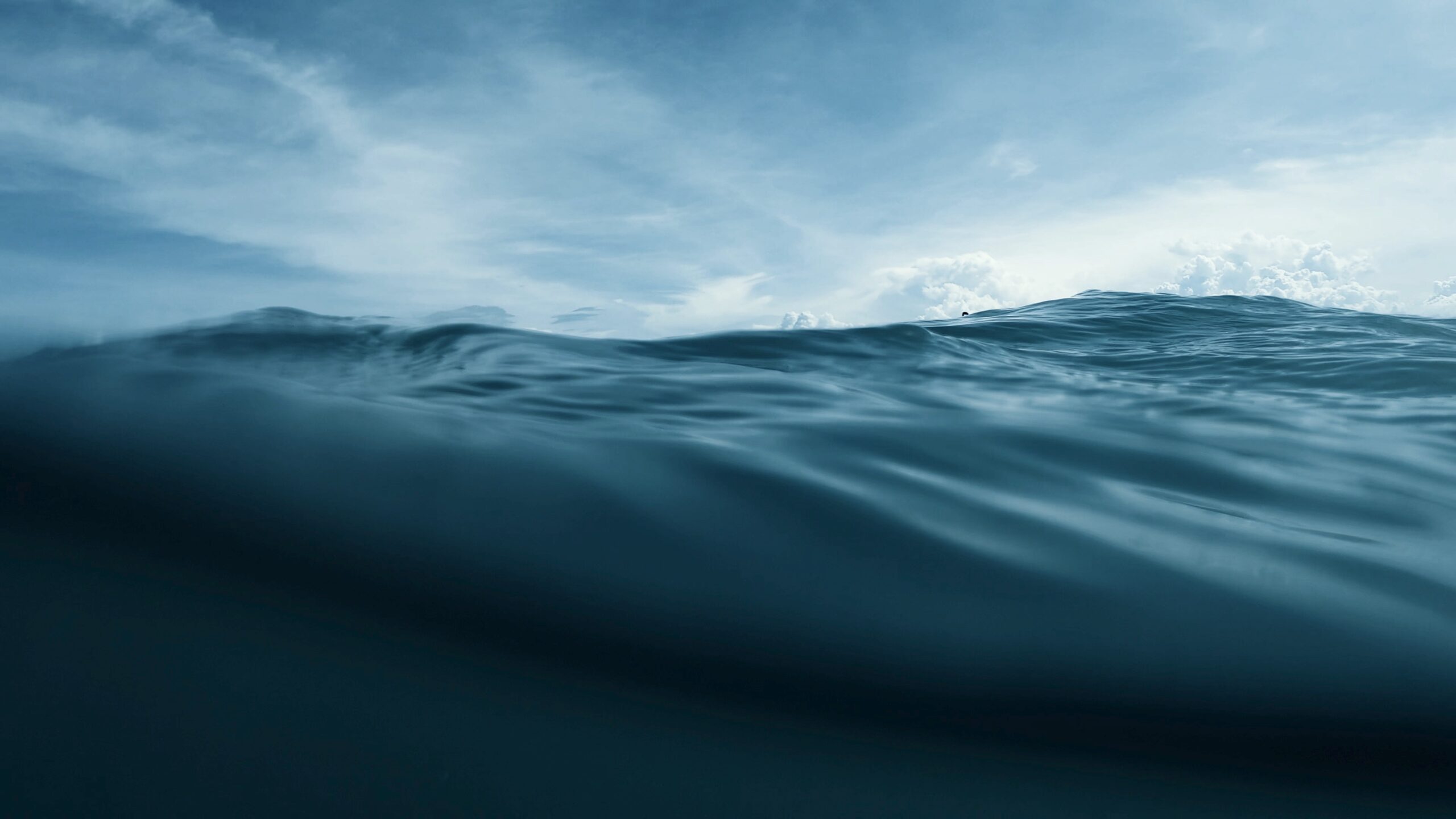 fossil-free sea freight